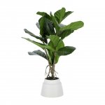 Planta artificial lyrata de 60 cm
