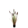 Planta de junco en maceta de plástico marrón - h90xd12,5cm
