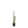 Cactus en maceta verde - h59xd12cm