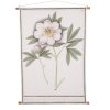 Colgador de pared Rosita beige - l140xw106cm