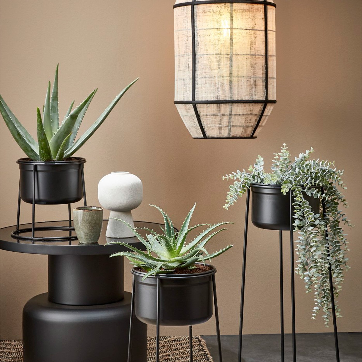 8720362000129-01s-01