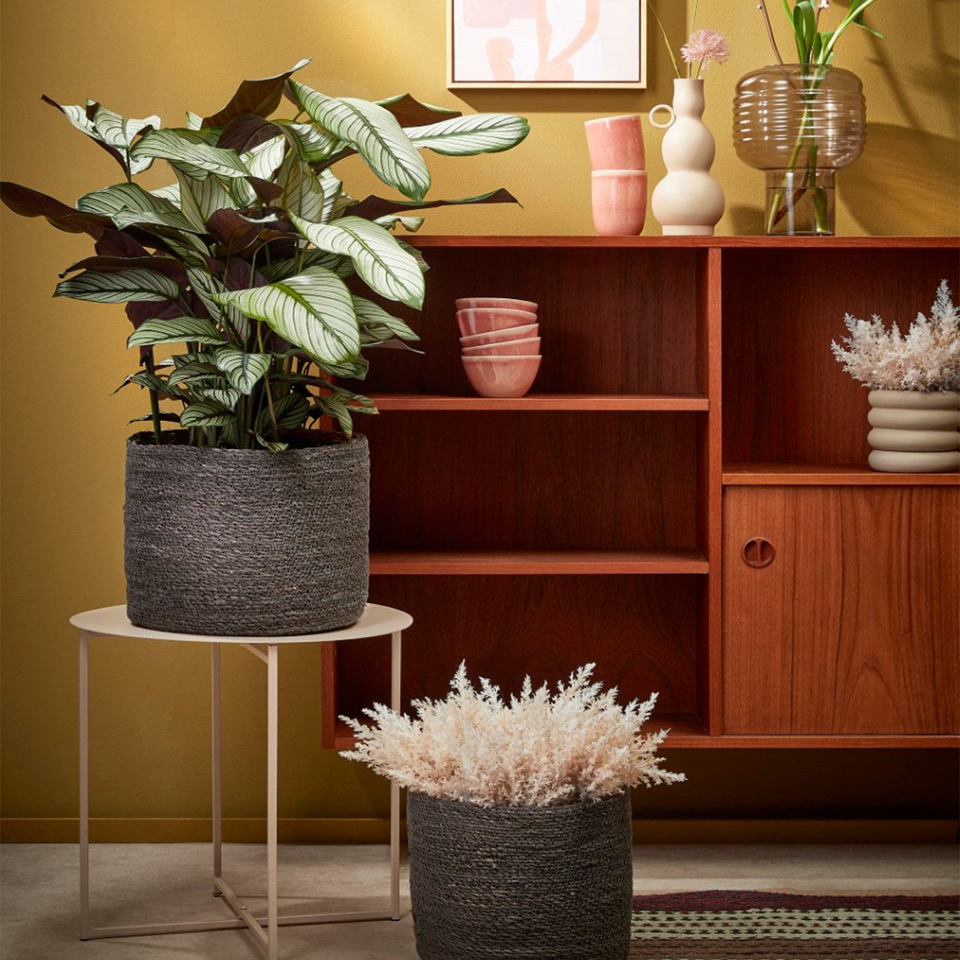 8720362083924-01s-01