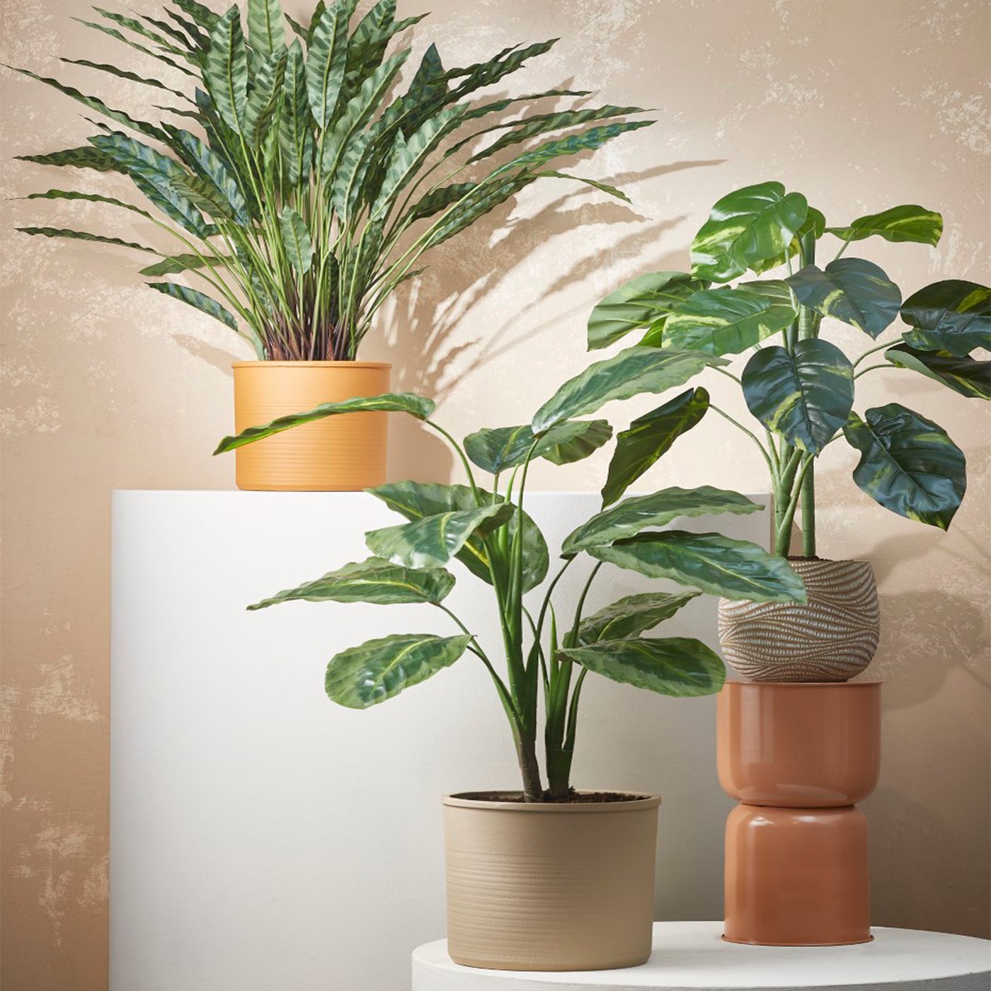 8720362113454-01s-01