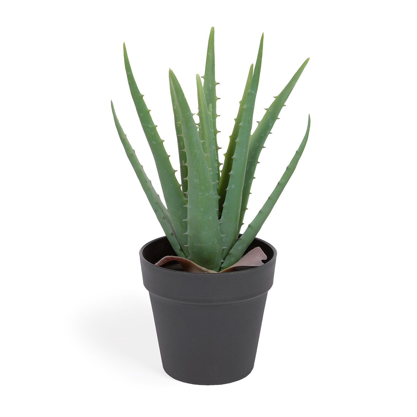Planta artificial Aloe Vera con maceta negro 36 cmoe Vera con maceta negro 36 cm