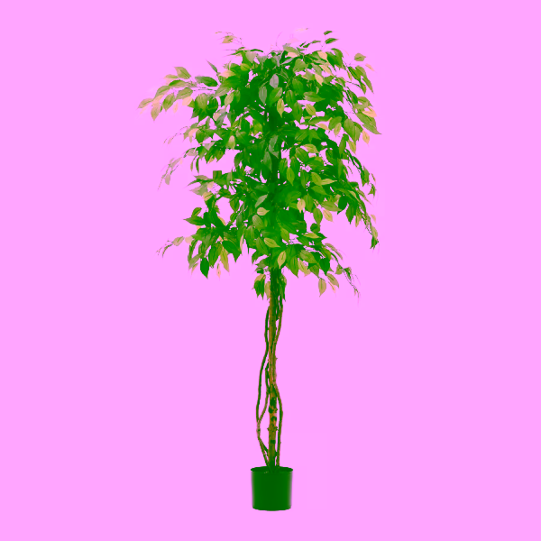 D1700021SS06_1V01