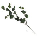 RAMA EUCALIPTO ART 24X24X79CM